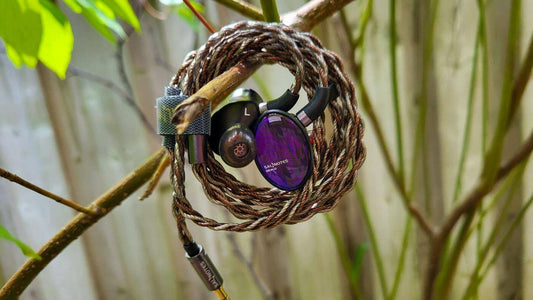 7Hz x Crinacle Salnotes Dioko Review: Muddy Waters