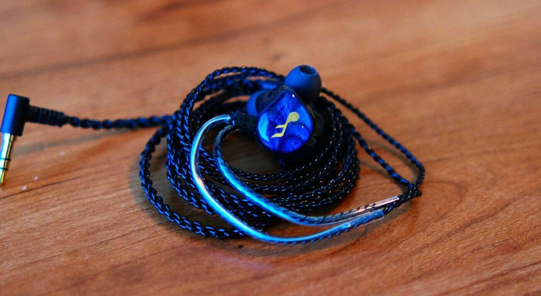 FatFreq Maestro Mini Review - Humble Roots, Not-So-Humble Sound