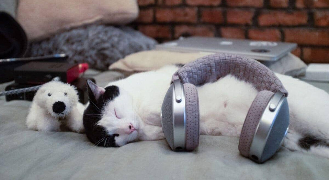 Focal Clear Review — The Best Headphones for Music Production in 2021