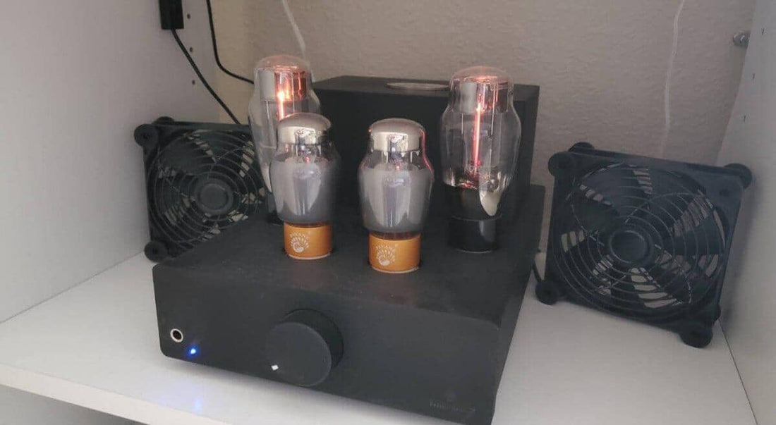 Feliks Audio Elise MK2 Impressions