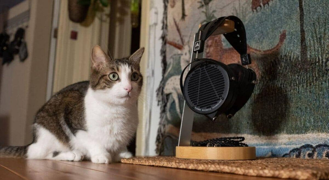 Audeze LCD-X Review - Devil In The Details