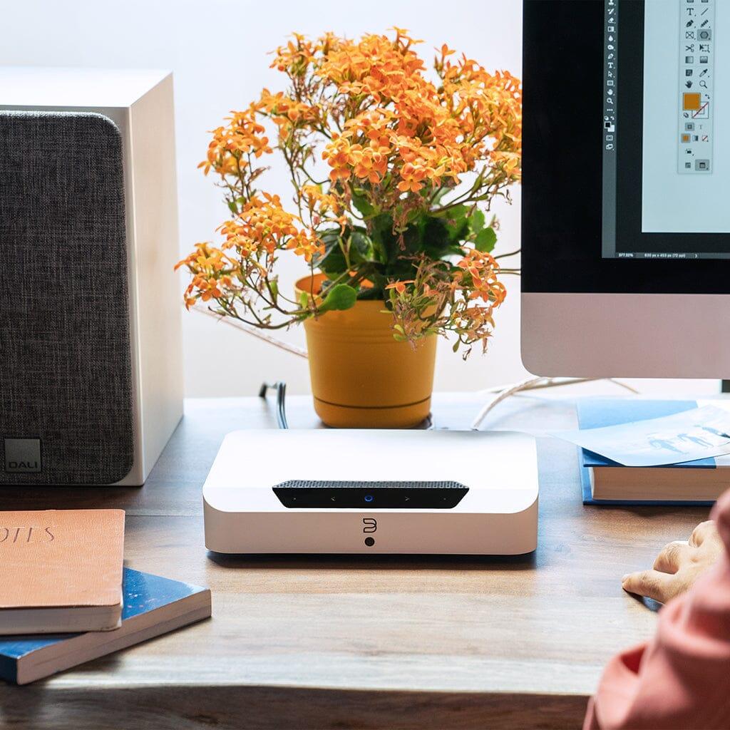 Bluesound Powernode Edge Streamer and Amplifier Streamers Bluesound