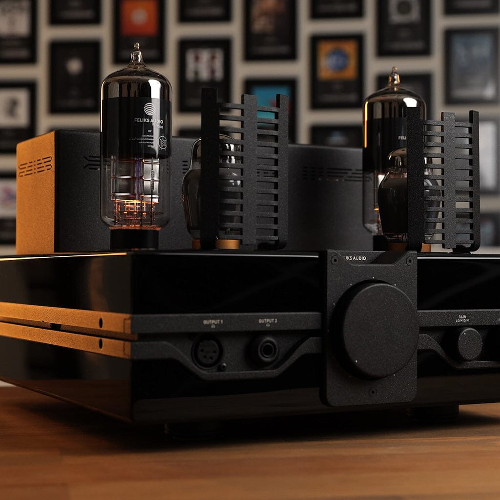 Feliks Audio Envy 25th Anniversary Edition DAC/Amps Feliks Audio 