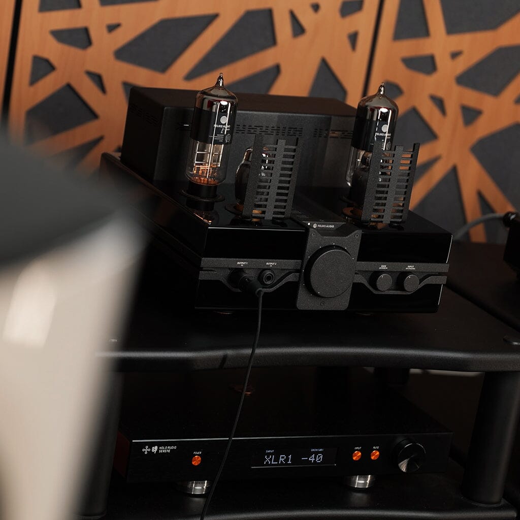 Feliks Audio Envy 25th Anniversary Edition DAC/Amps Feliks Audio