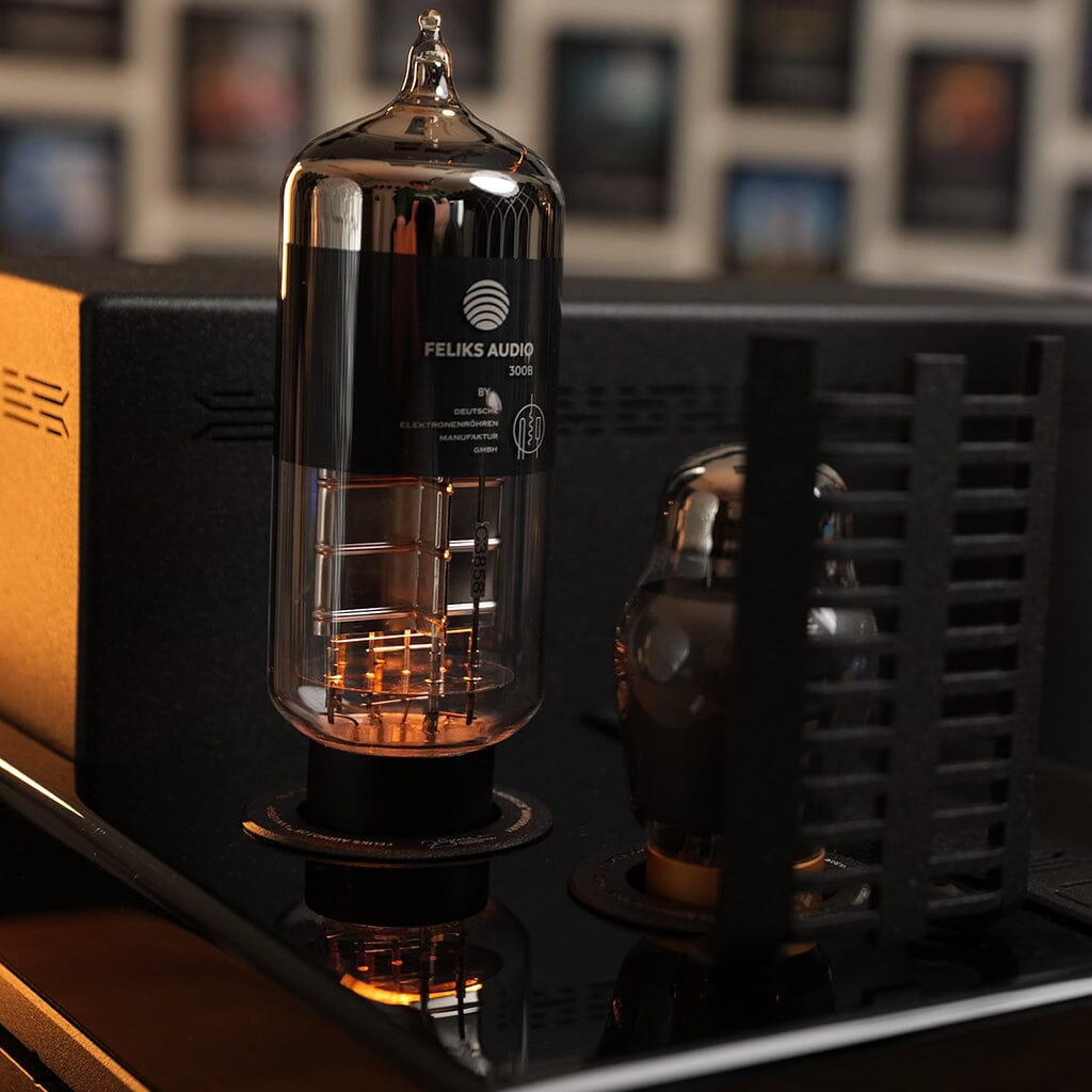 Feliks Audio Envy 25th Anniversary Edition DAC/Amps Feliks Audio