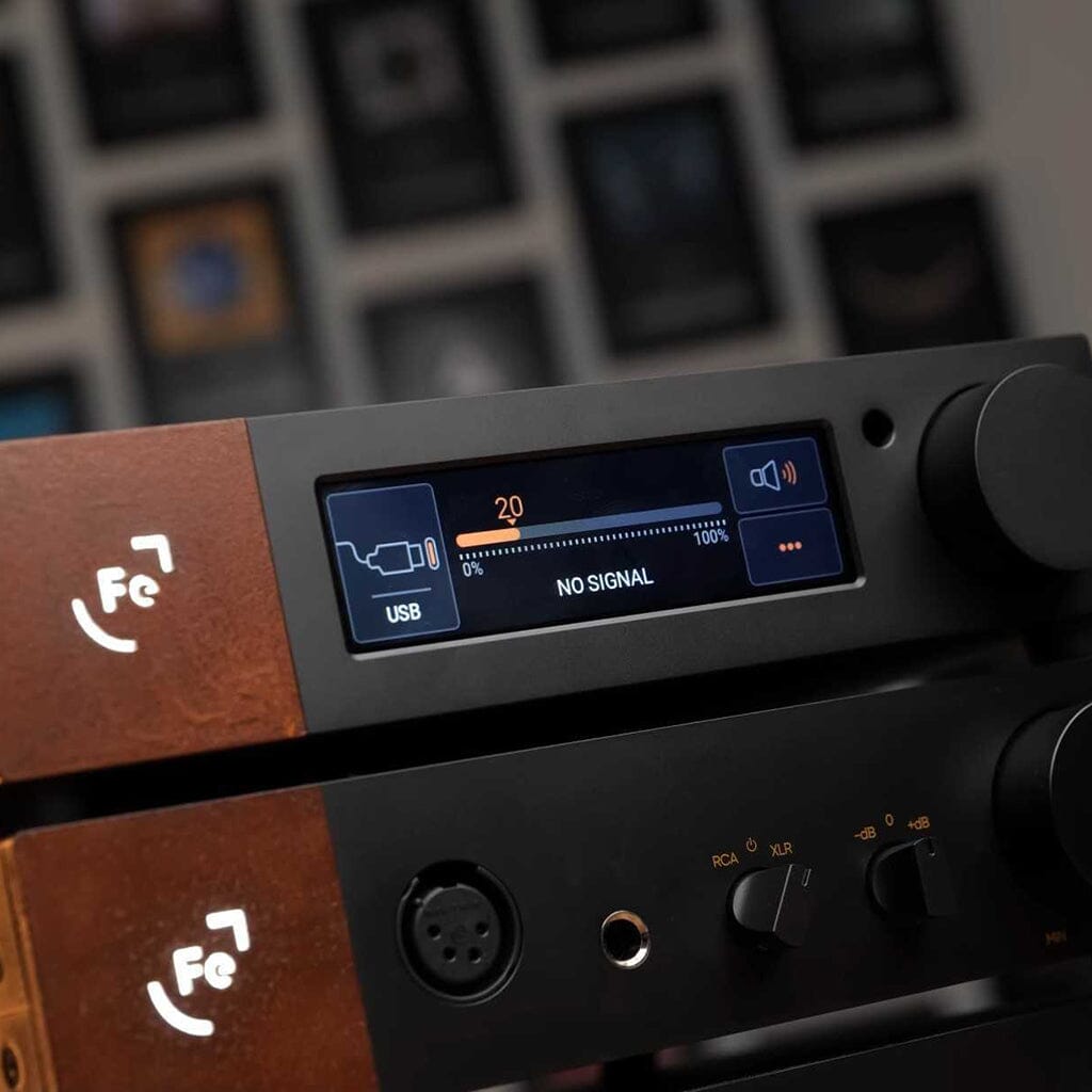 Ferrum WANDLA DAC - GoldenSound Edition DAC/Amps Ferrum Audio 