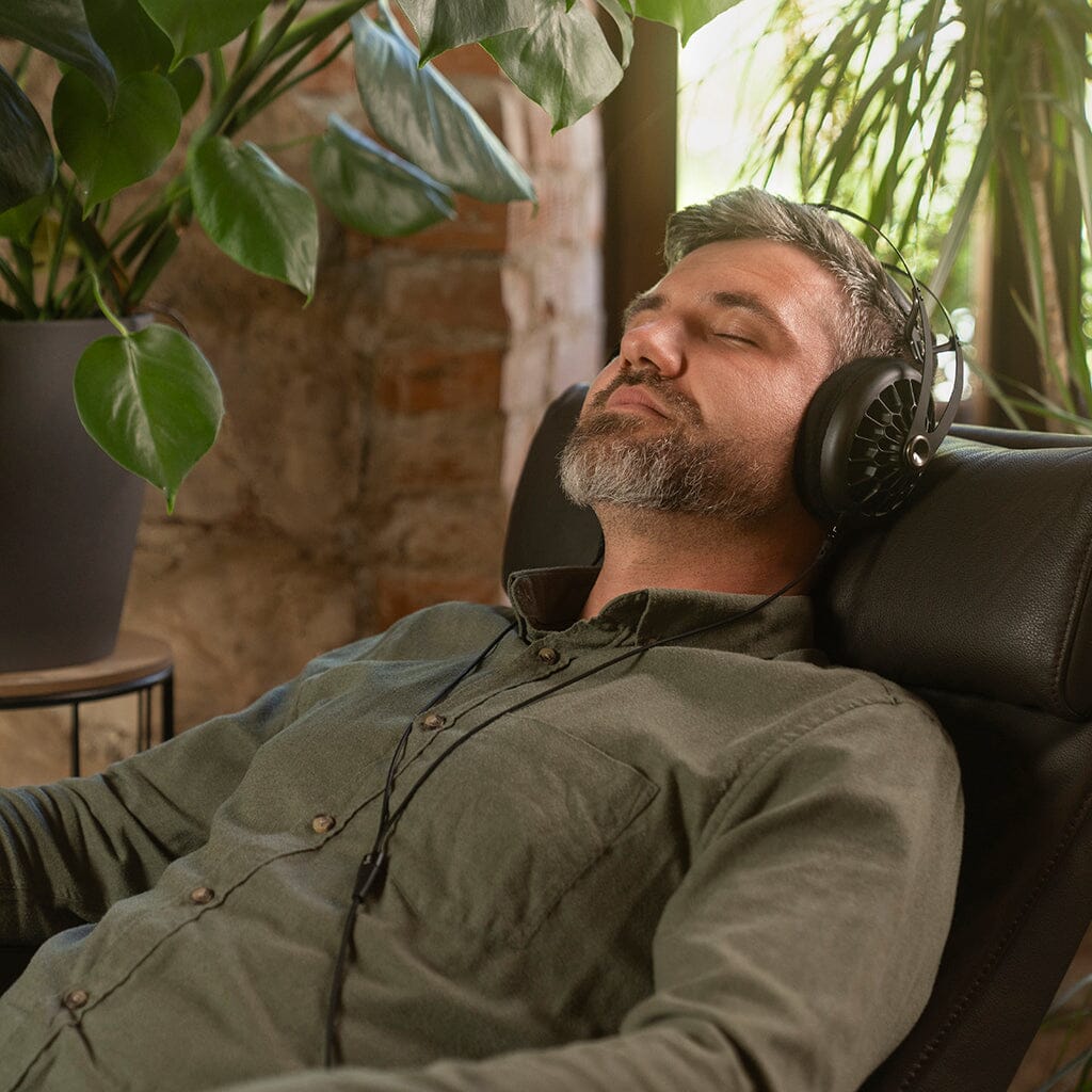 Meze Audio 105 AER Headphones Headphones Meze