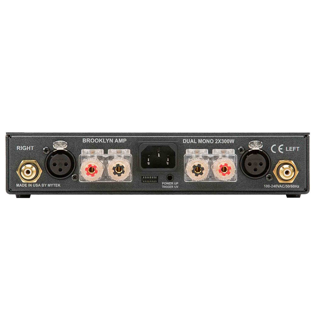 Rear view of the Mytek Digital Brooklyn Amp+ Headphone Amplifier by Mytek Digital, showing power input, switch, and four right/left speaker terminals for wires or banana plugs. This Class D amp provides versatile connectivity.