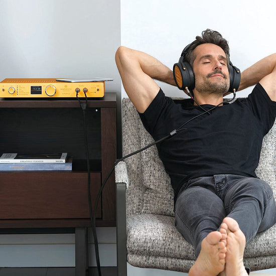 Warwick Acoustics Aperio Gold Limited Edition - Open Box Headphones Warwick Acoustics