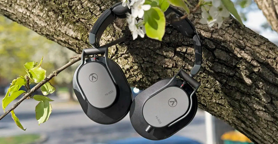 Austrian Audio Hi-X55 Headphones decorating a tree.