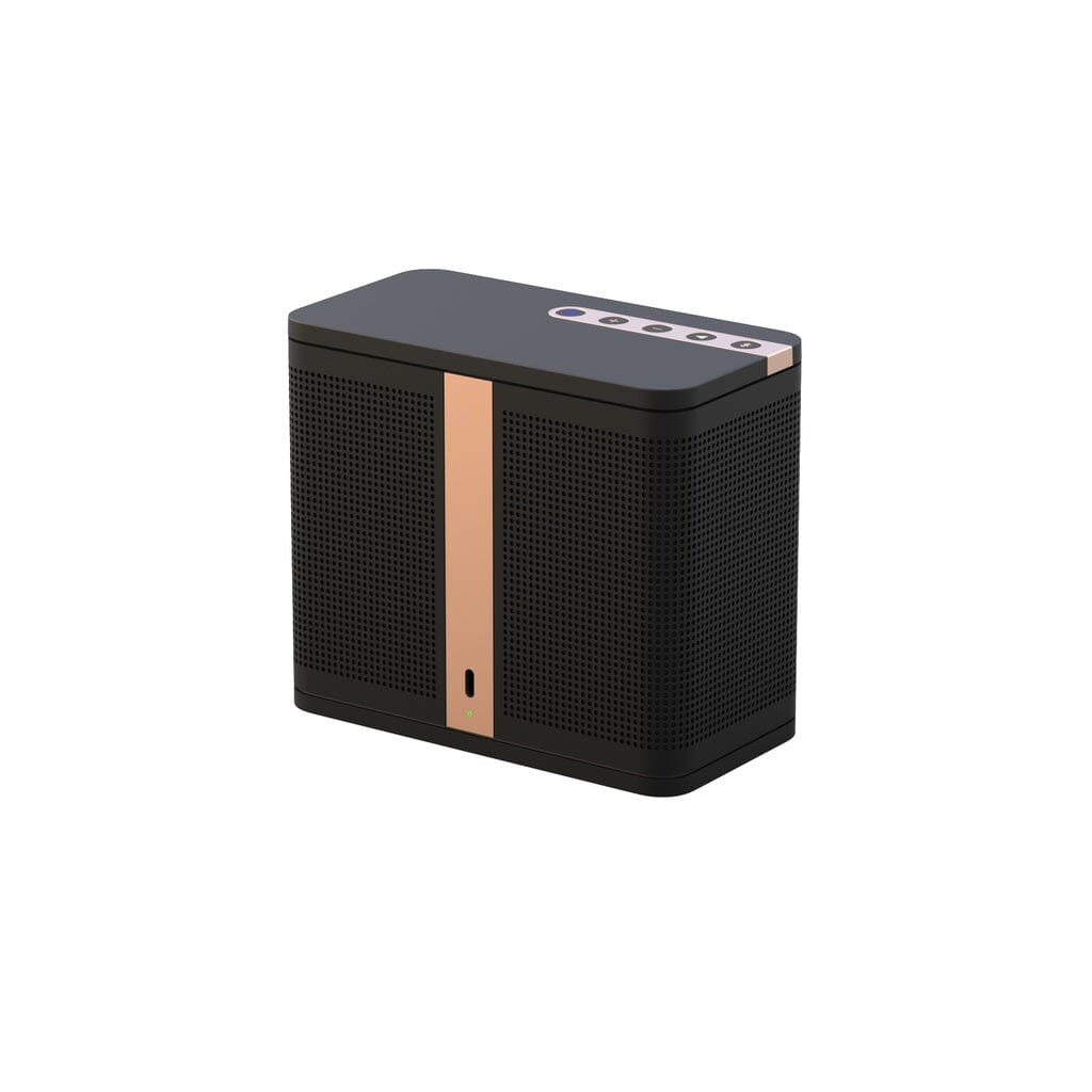 The ELAC NAVA 100 Portable Bluetooth Speaker by ELAC, with a rose gold accent stripe and top buttons, delivers balanced sound and is shown on a white background.