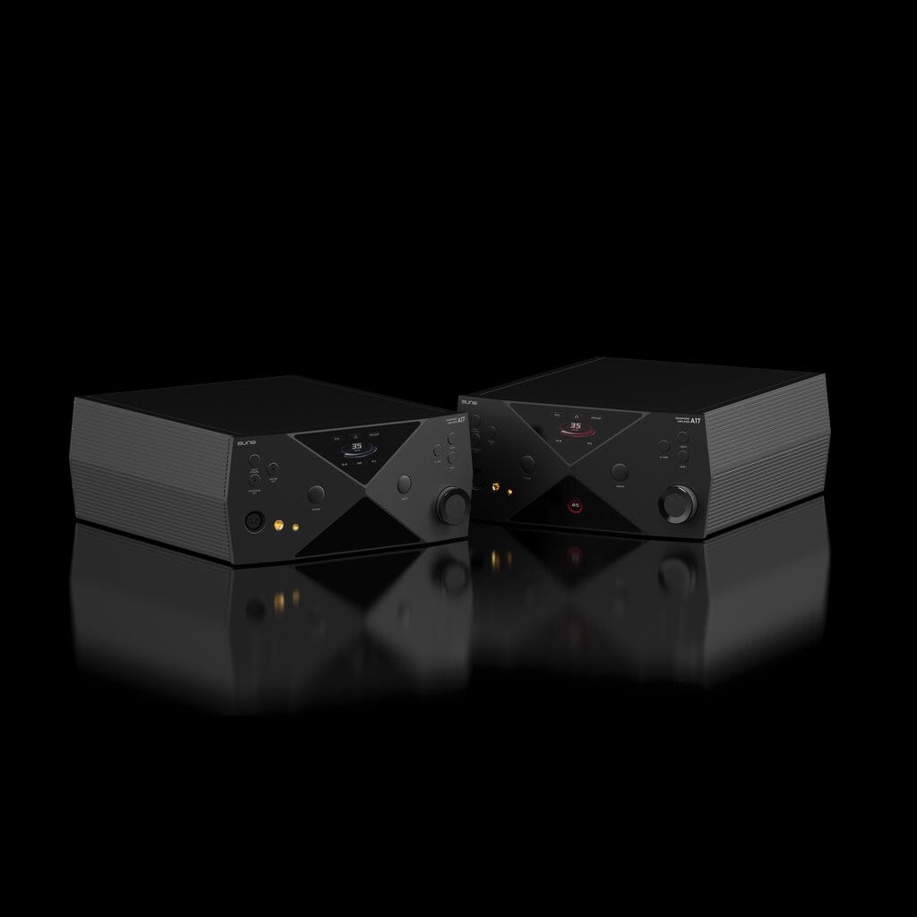 Aune Audio A17 Headphone Amplifier - detail view