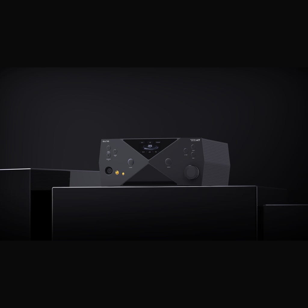 Aune Audio A17 Headphone Amplifier - accessories
