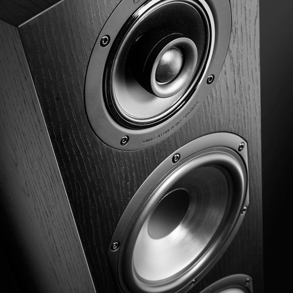Close-up of the Cabasse JERSEY MC170 Floorstanding Speaker by Cabasse, in black wood finish, showing two visible drivers—a tweeter and woofer—with detailed texture and metallic accents.