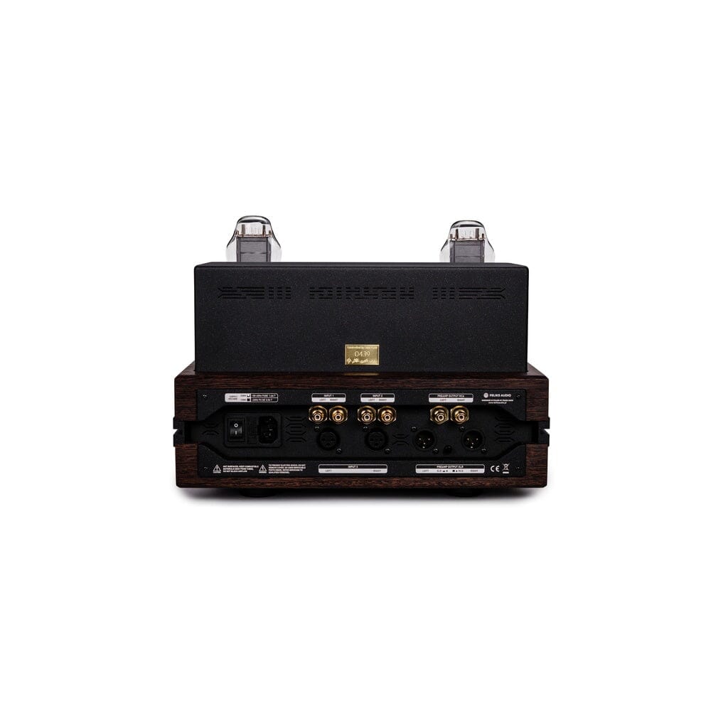 Rear view of the Feliks Audio Envy Susvara Edition by Feliks Audio, featuring multiple input/output connectors, power switch, and ventilation grills in a dark metallic finish. Specially designed for HIFIMAN Susvara headphones; shown against a white background.
