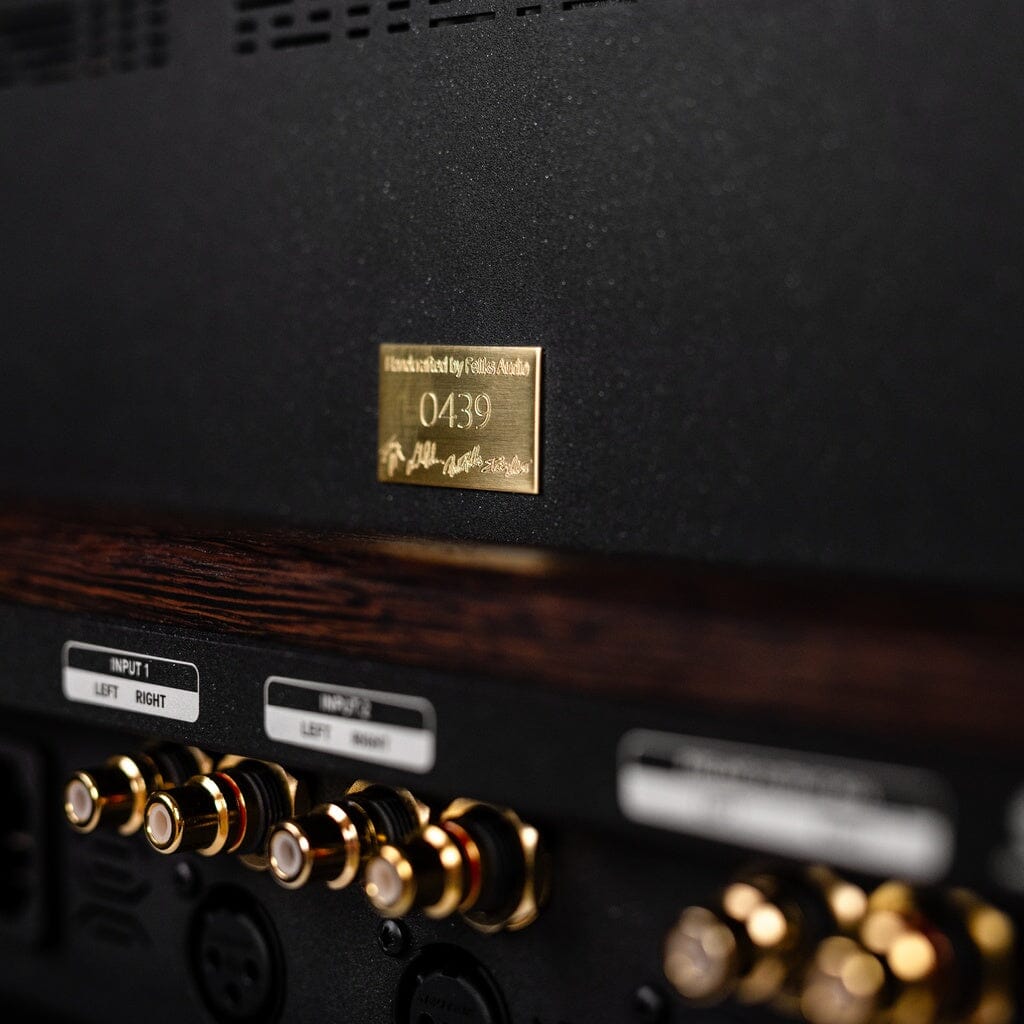 Close-up of the Feliks Audio Envy Susvara Edition's back panel, displaying gold-plated Input 1 Left/Right connectors and a metallic plaque with serial number 0439.