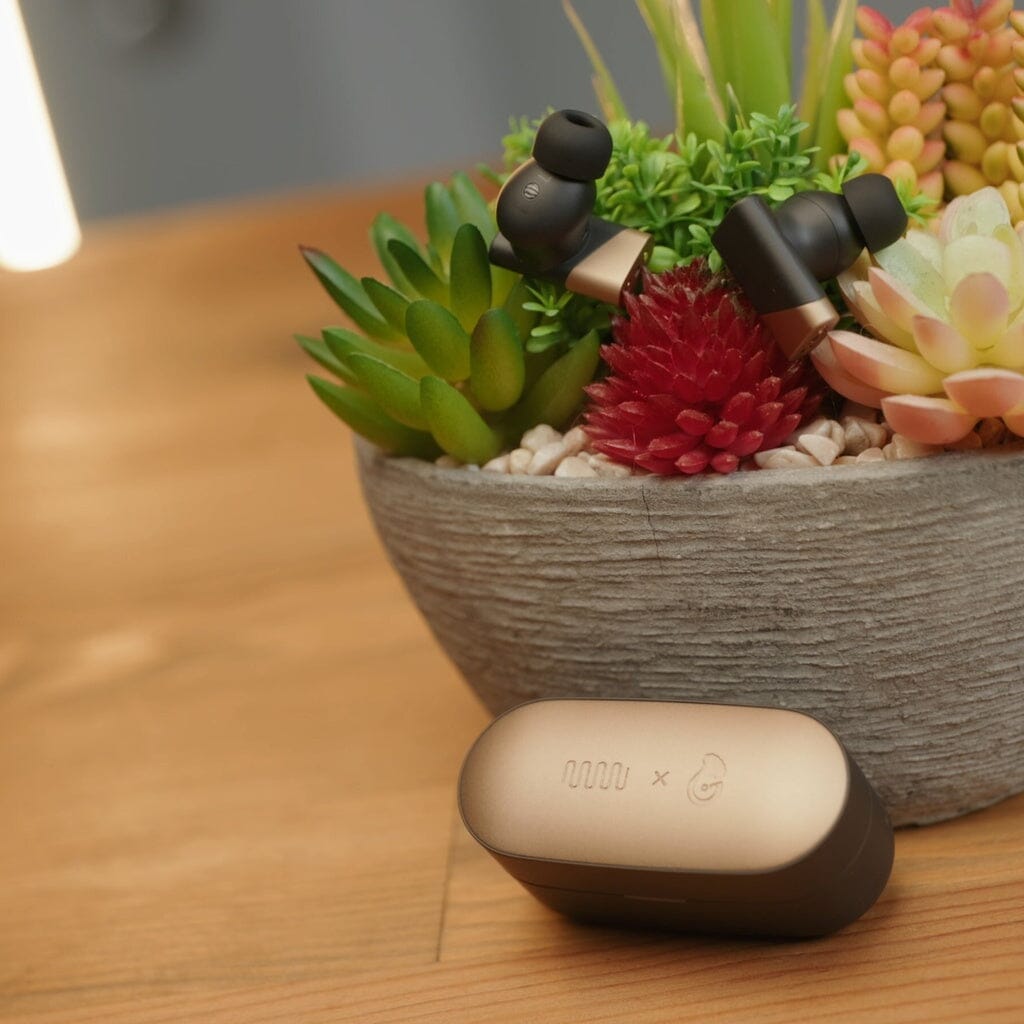 A pair of Status Audio Pro X True Wireless - GoldenSound Edition earbuds by Status Audio rest in a bowl of colorful succulents, while their matching charging case sits on a wooden table nearby.
