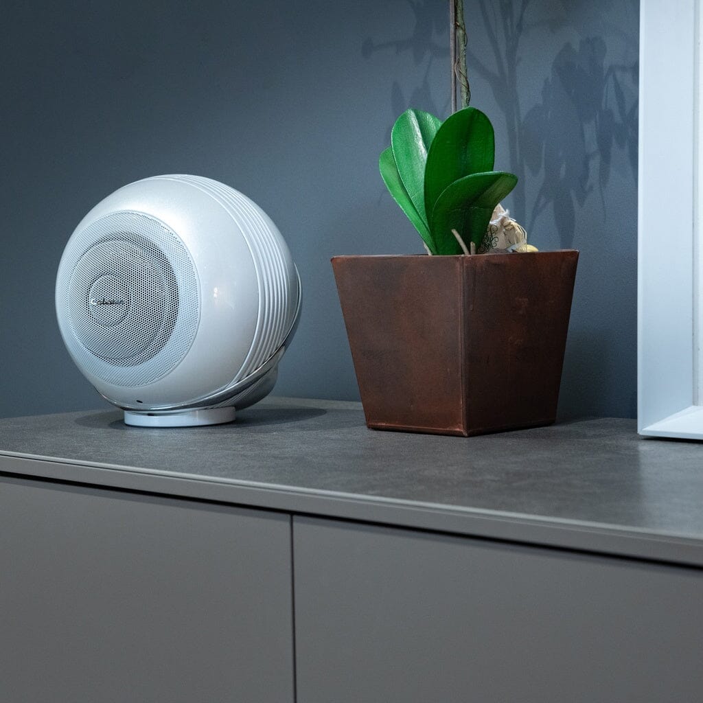 A pair of Cabasse THE PEARL AKOYA wireless speakers sits on a grey cabinet next to a small green plant in a brown square pot, against a grey wall.