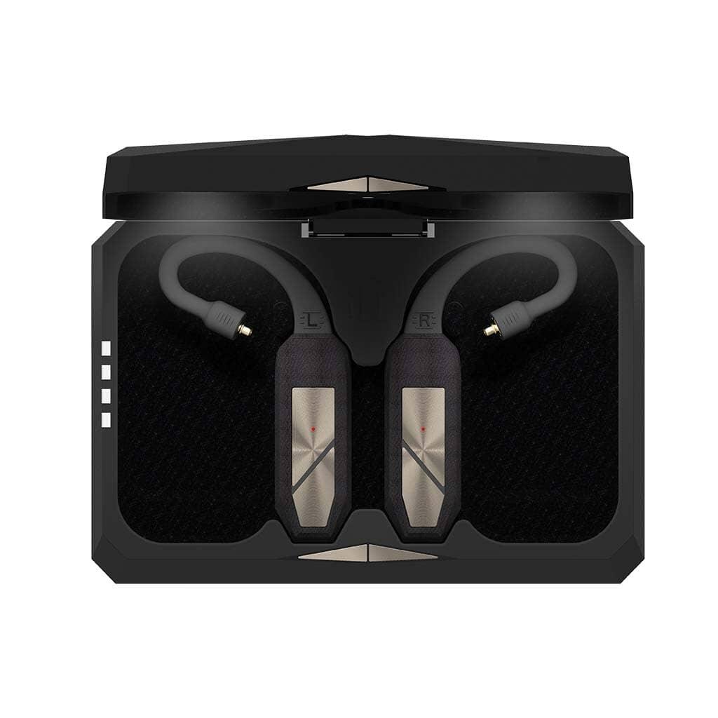 iFi Audio GO Pod